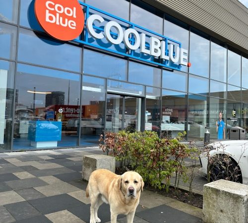 2023-05-12.jpg 2023-05-12.jpg